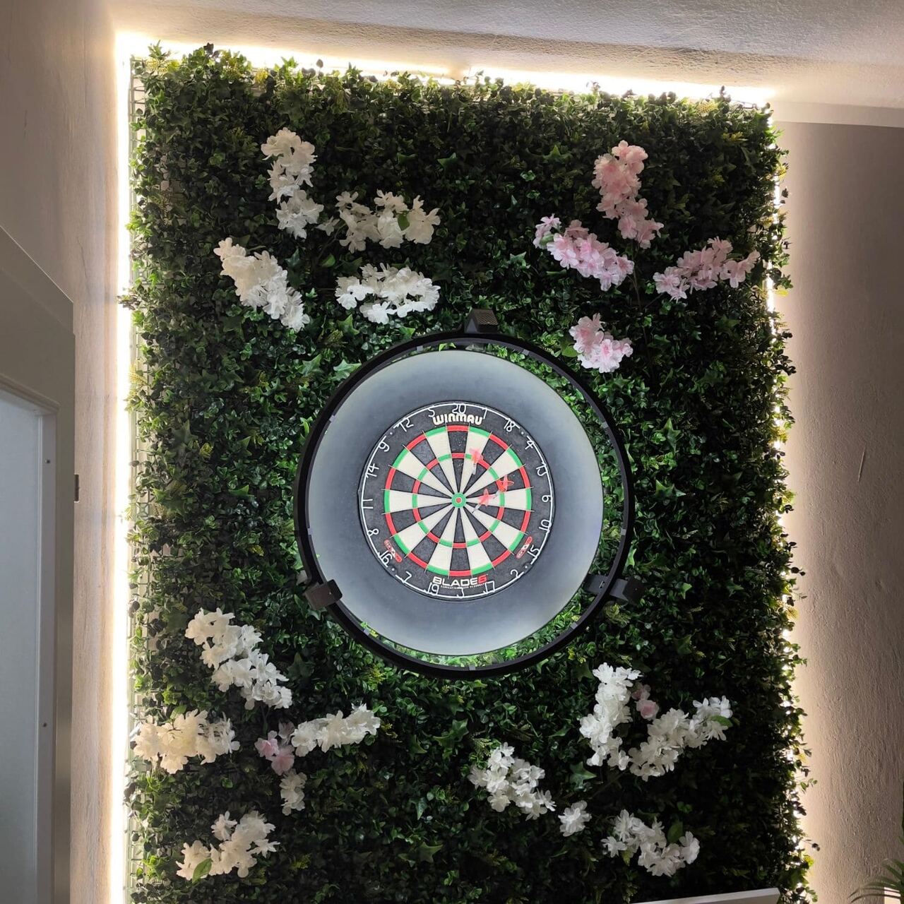 Autodarts Setup mit Winmau Dartboard an einer grünen Pflanzenwand mit LED-Beleuchtung von Darts4All