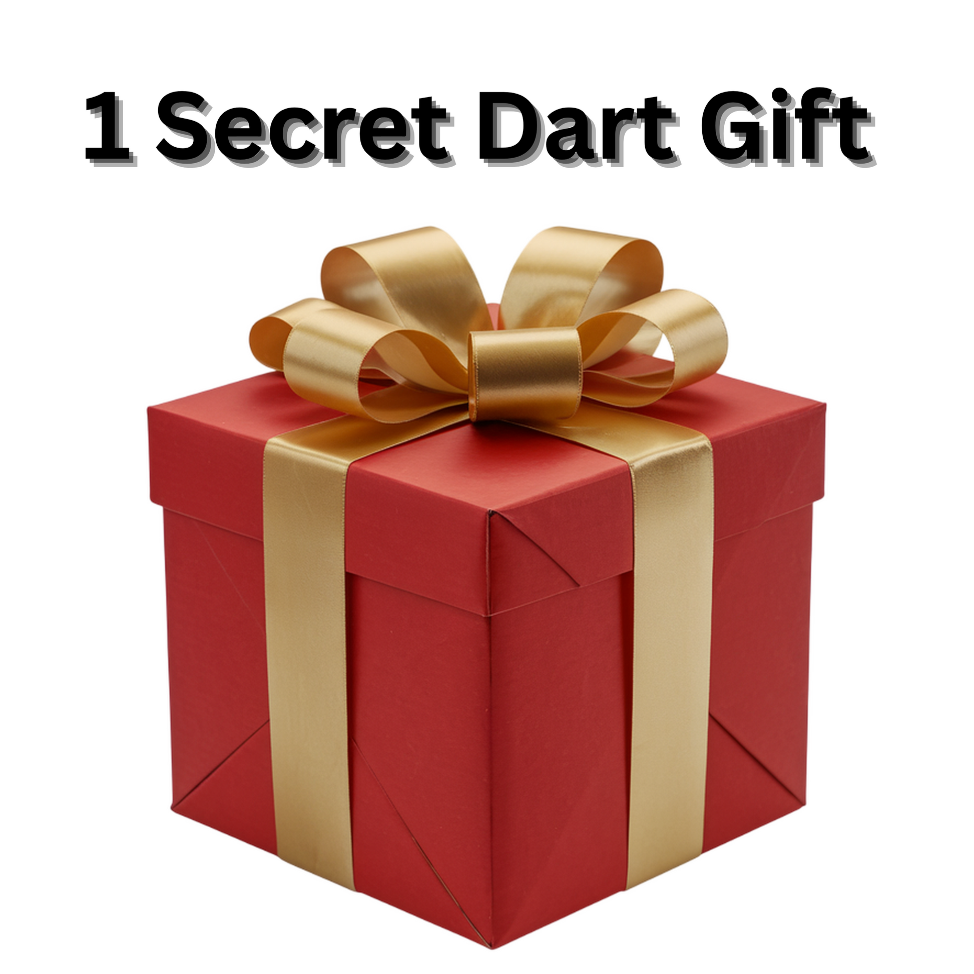 Autodarts Komplettset Dart Gift 